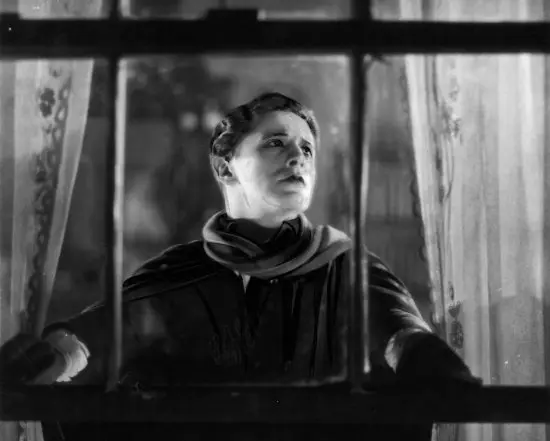 Titelbild Der Mieter