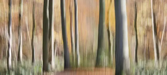 Titelbild Rundgang mit Fotografin Gudrun Kemsa und Kunsthausleiter Matthias Dachwald
