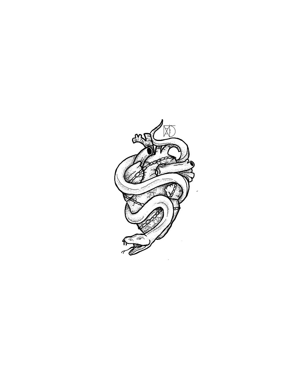 Galeriebild "Heart & Snake"