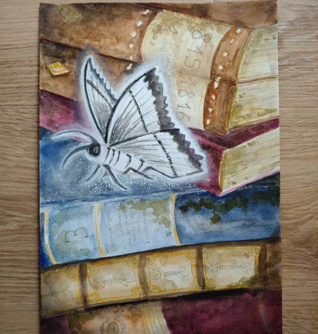 Galeriebild Mottenbibliothek