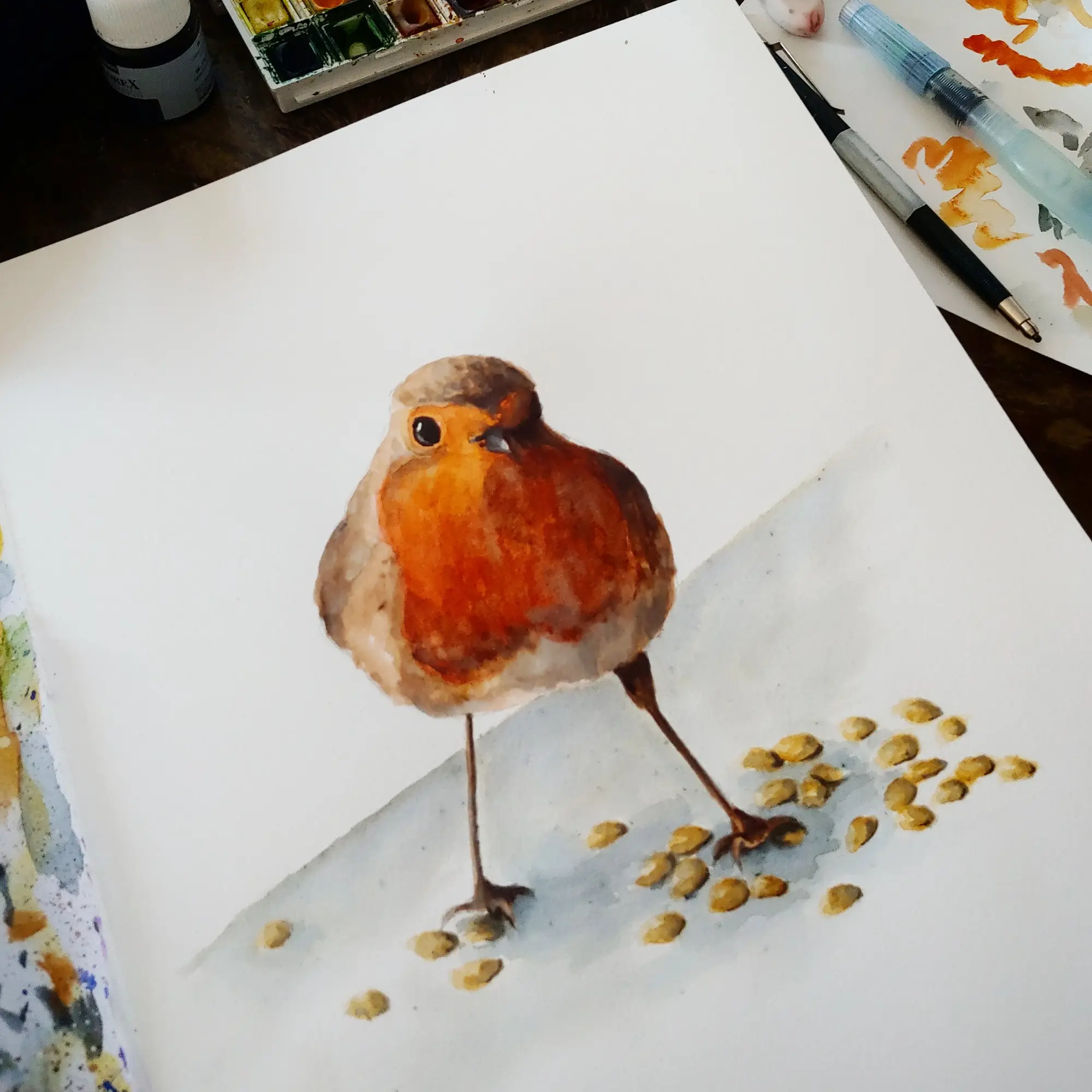 Galeriebild Rotkehlchen
